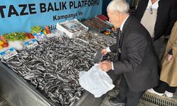 Denizlerde balık bolluğu: Hamsinin fiyatı 89 liraya düştü