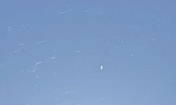 Tekirdağ'da gökyüzünden örümcek ağı yağdı
