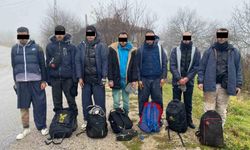 Kırklareli'nde 9 kaçak göçmen yakalandı