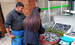 Demirköy’de Balık Satış Noktalarına Denetim