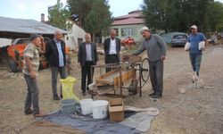 Ata tohumu fasulyeler geleneksel yöntemlerle üretiliyor