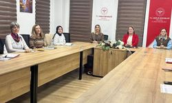 İl Sağlık Müdürlüğü Toplantı Düzenledi