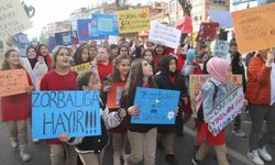 Pozitif okul kültürü akran zorbalığını azaltıyor