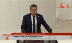 CHP’li Gündoğdu: “ÇED Süreci Amacını Yitirdi, Çevreyi Koruyamıyor”