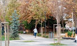 Sonbaharda Kırklareli Millet Bahçesi Bir Başka Güzel