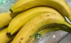 Kırklareli’nde Vatandaşların Tercihi Muzdan Yana