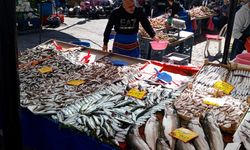 Kırklareli Cumartesi Pazarında Balık Tezgahları Bu Hafta Durgundu