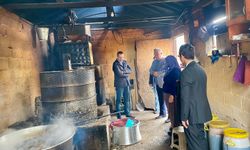 Kaymakam Özderin, Pekmez Üretim Tesisini İnceledi