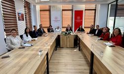 “Bebek Dostu Sağlık Kuruluşları” Değerlendirmesi Başladı