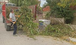 Büyükkarıştıran’da Ağaç Budama Çalışmaları Sürüyor