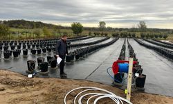 Lüleburgaz’da Yaban Mersini Bahçeleri İncelendi