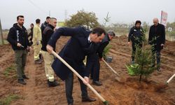 Başkan Özalp, Ağaçlandırma Etkinliğine Katıldı