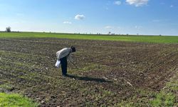 Lüleburgaz’da Arazi Kontrol Çalışmaları Devam Ediyor