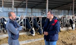 Pınarhisar’da Ari Hayvancılık İşletmesine Denetim Ziyareti