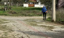 Pehlivanköy’de Temizlik ve Bakım Çalışmaları Sürdürülüyor