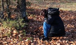 Kırklareli’nde Süneyle Mücadele Surveyleri Yapıldı