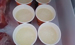 Tavuk Suları Buzluğa Kaldırılıyor