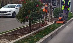 Kırklareli Öztürk Bulvarı’nda Orta Refüjde Bakım Çalışması