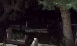 Yalova'da iş adamı mezarlıkta ölü bulundu