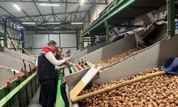 Tekirdağ'da ceviz ekim alanları genişliyor