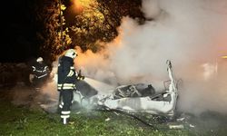 Masal gibi olay: Annesinin mezarına gitti ölümden kurtuldu