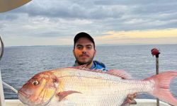 Çanakkale'de balıkçılar 12 kilogramlık mercan balığı yakaladı