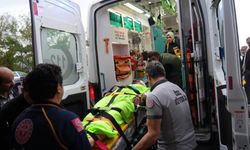 Mantar toplarken ayının saldırısına uğrayan imam yaralandı