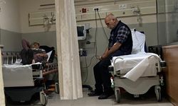 Ormandaki mantarları yiyen 7 kişi hastanelik oldu