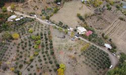 Dünyanın en pahalı baharatı safran Adana'da hasat edildi