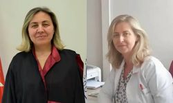 Tekirdağ'da 2 doktorun öldüğü kazada alkollü sürücünün davası ertelendi