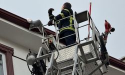 Çatıda sıkışan martıyı itfaiye kurtardı