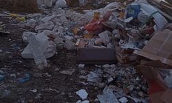 Karamusul Göleti'ne atık döküldü