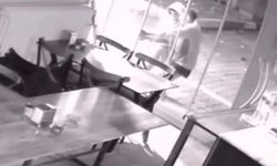 Şehri ayağa kaldıran hırsızlık zinciri