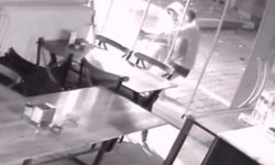 Şehri ayağa kaldıran hırsızlık zinciri