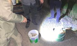 Tekirdağ'da gece avına baskın: 4 kişiye ceza