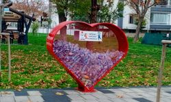 Atık Pet Şişe Kumbarası Millet Bahçesi’nde İlgi Görüyor