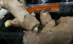 Zencefil Tüketimi Artıyor