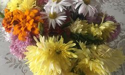 Renkli Çiçek Demetleriyle Ev Dekorasyonuna Doğal Dokunuş