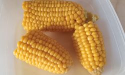 Haşlanmış Mısır Ara Öğünlerin Gözdesi Oldu