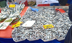 Cumartesi Pazarında Balık Tezgâhlarına Yoğun İlgi