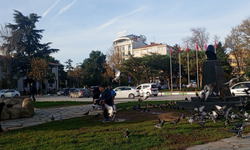 Kırklareli’nde Yazdan Kalma Gün: Meydanda Güvercinlerle Renkli Anlar