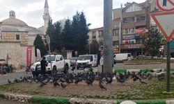 Şehrin Ortasında Küçük Bir İyilik