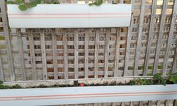 Geri Dönüşümle Dikey Tarım Uygulaması