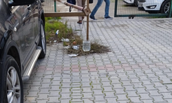 Kırklarelililerden Sokak Hayvanlarına Su Desteği