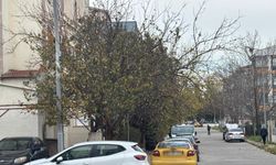 Kışın İlk Günleri Sokaklara Sessizlik Getirdi