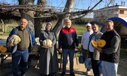 Üsküpdere’de Kabak Üreticisine Teknik Ziyaret