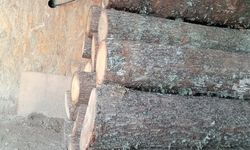 Kış Hazırlığı: Odunlar Yerini Aldı