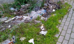 Kırklareli’nde Çevre Kirliliği Tepki Çekiyor