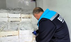 İğneada Balıkçı Barınağı’nda Su Ürünleri Denetimi