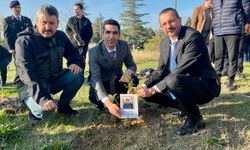 Pınarhisar’da Şehitler Anısına Fidan Dikildi